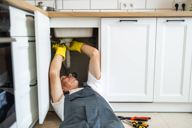 Best Sprinkler Systems  in Phenix City, AL